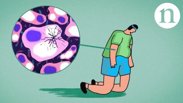 Fighting fatty livers