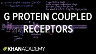 G Protein Coupled Receptors | Nervous system physiology | NCLEX-RN | Khan Academy