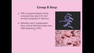 Group B Strep in Pregnancy – CRASH! Medical Review Series