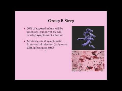 Group B Strep in Pregnancy – CRASH! Medical Review Series
