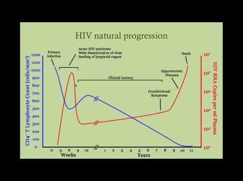 Managing the Patient with HIV – CRASH! Medical Review Series