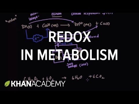 Oxidation and reduction in metabolism | Biomolecules | MCAT | Khan Academy