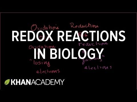 Oxidation and reduction review from biological point-of-view | Biomolecules | MCAT | Khan Academy