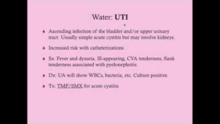 Postpartum Fever – CRASH! Medical Review Series