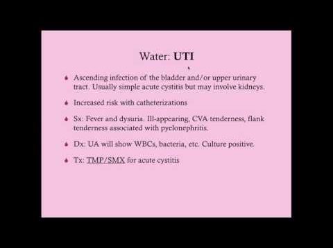 Postpartum Fever – CRASH! Medical Review Series