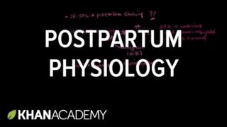 Postpartum physiology | Reproductive system physiology | NCLEX-RN | Khan Academy