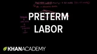 Preterm labor | Reproductive system physiology | NCLEX-RN | Khan Academy