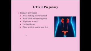 UTI in Pregnancy – CRASH! Medical Review Series