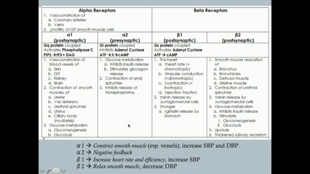 Adrenergic Agonists (Part One) – CRASH! Medical Review Series
