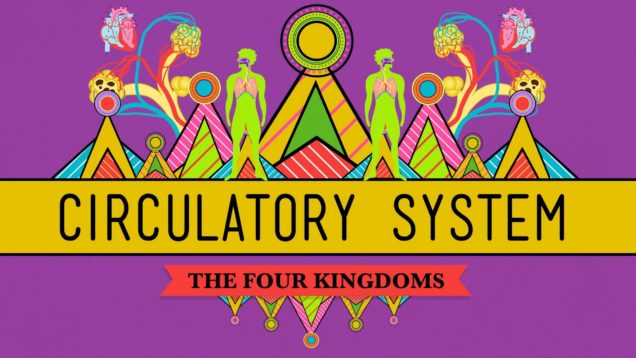 Circulatory & Respiratory Systems – CrashCourse Biology #27