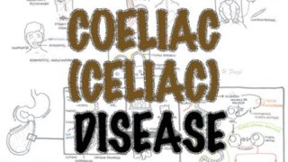 Coeliac (Celiac) Disease – Overview