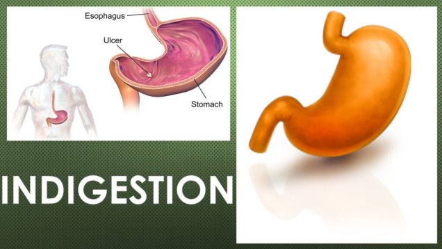 What does indigestion feel like? What are the symptoms of functional dyspepsia?