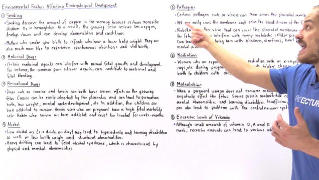Factors Affecting Fetal Development