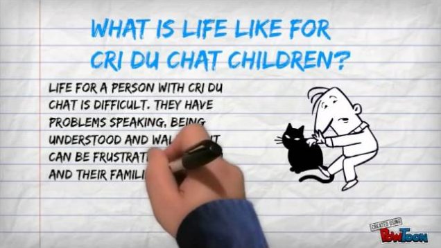 Genetic Disease Project: Cri Du Chat Syndrome