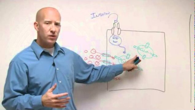 How Insulin Gets Glucose Into a Cell