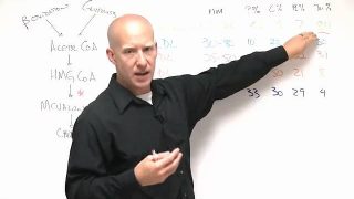 Lipid Panel Interpretation