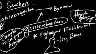 Lysosome Storage Disorders Made Simple!