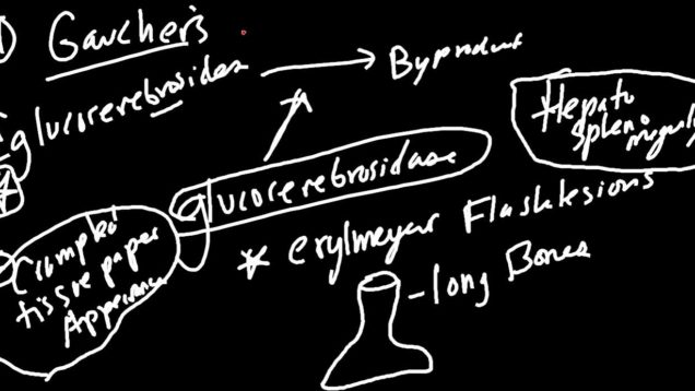 Lysosome Storage Disorders Made Simple!