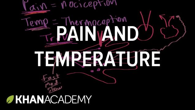 Pain and temperature | Integumentary system physiology | NCLEX-RN | Khan Academy