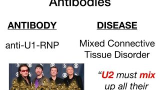 Autoantibodies Rapid Review