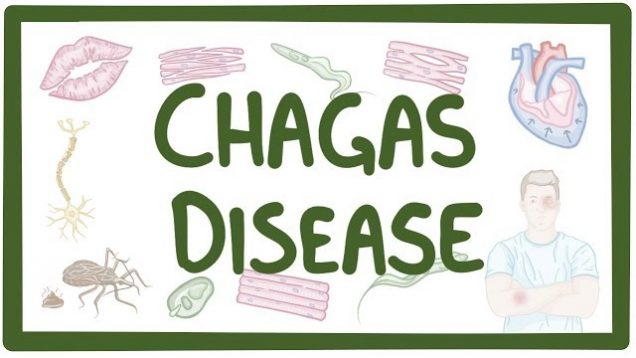 Chagas disease – causes, symptoms, diagnosis, treatment, pathology