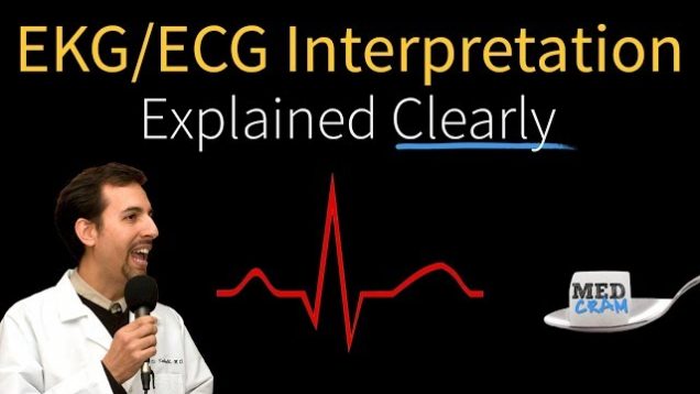 EKG/ECG Interpretation Explained Clearly – Foundation & Basics