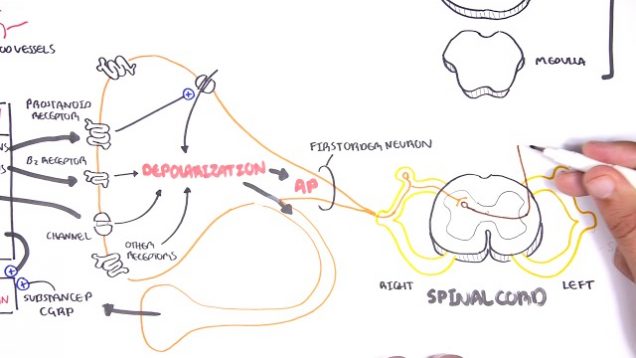 Pharmacology – Nonsteroidal Anti-Inflammatory Drugs (NSAIDs)