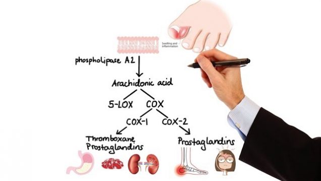 Pharmacology – NSAIDs & PROSTAGLANDIN ANALOGS (MADE EASY)