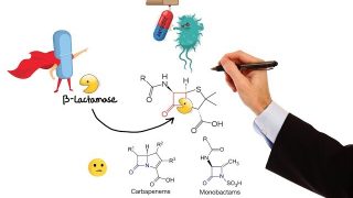 Pharmacology – ANTIBIOTICS – CELL WALL & MEMBRANE INHIBITORS (MADE EASY)