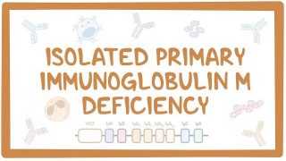 Isolated primary immunoglobulin M deficiency