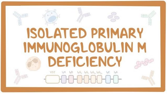 Isolated primary immunoglobulin M deficiency