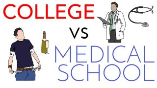 Medical School vs Residency Comparison