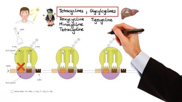 Pharmacology – ANTIBIOTICS – NUCLEIC ACID & FOLIC ACID & PROTEIN SYNTHESIS INHIBITORS (MADE EASY)