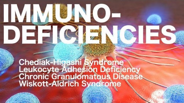 Chediak-Higashi vs. Chronic Granulomatous vs. Leukocyte Adhesion vs. Wiskott-Aldrich