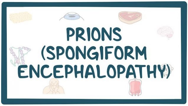Prions (Spongiform encephalopathy)