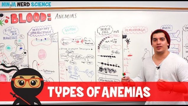 Hematology | Types of Anemias
