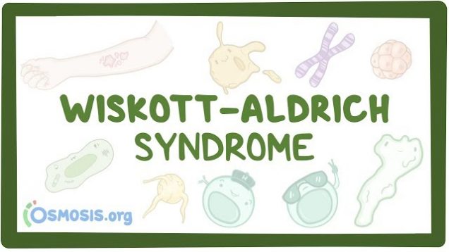 Wiskott-Aldrich syndrome