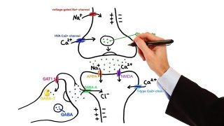 Pharmacology – ANTIEPILEPTIC DRUGS (MADE EASY)