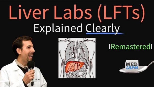 Liver Function Test Interpretation (LFTs) | Liver Enzymes Remastered