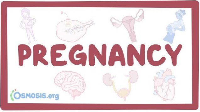 Pregnancy physiology Video Lecture
