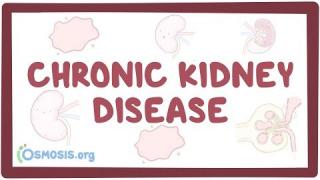 Chronic kidney disease – causes, symptoms, diagnosis, treatment, pathology