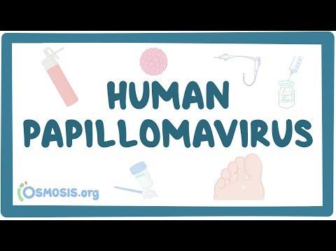 Human papillomavirus or HPV