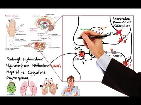 Pharmacology – OPIOIDS (MADE EASY)
