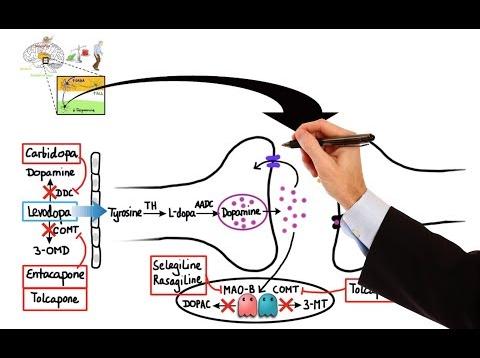Pharmacology – DRUGS FOR PARKINSON’S DISEASE (MADE EASY)