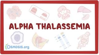 Alpha-thalassemia – causes, symptoms, diagnosis, treatment, pathology