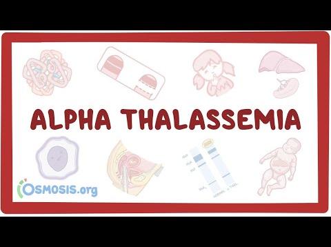 Alpha-thalassemia – causes, symptoms, diagnosis, treatment, pathology