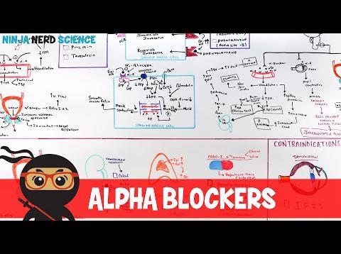 Hypertension Treatment | Alpha Blockers: Antihypertensives