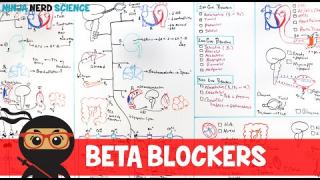 Hypertension Treatment | Beta Blockers: Antihypertensives