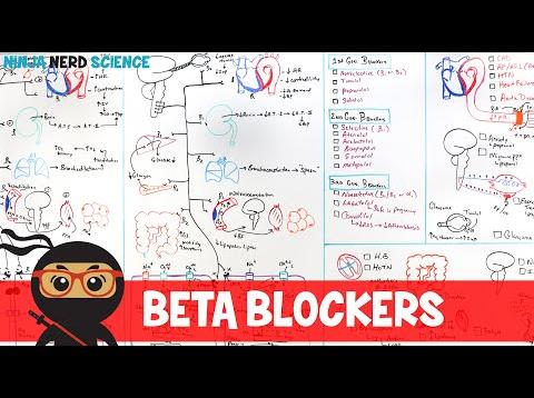 Hypertension Treatment | Beta Blockers: Antihypertensives