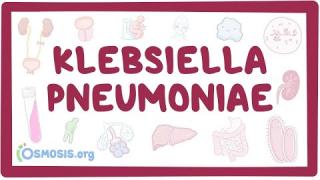 Klebsiella pneumoniae – causes, symptoms, diagnosis, treatment, pathology